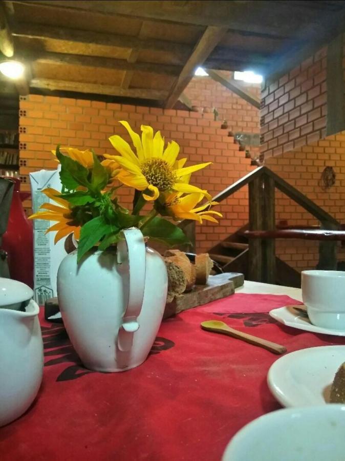 Villa Morena Benessere Florianopolis Bagian luar foto