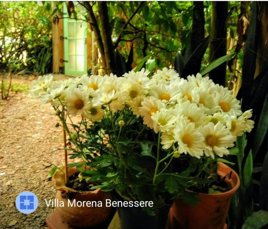 Villa Morena Benessere Florianopolis Bagian luar foto