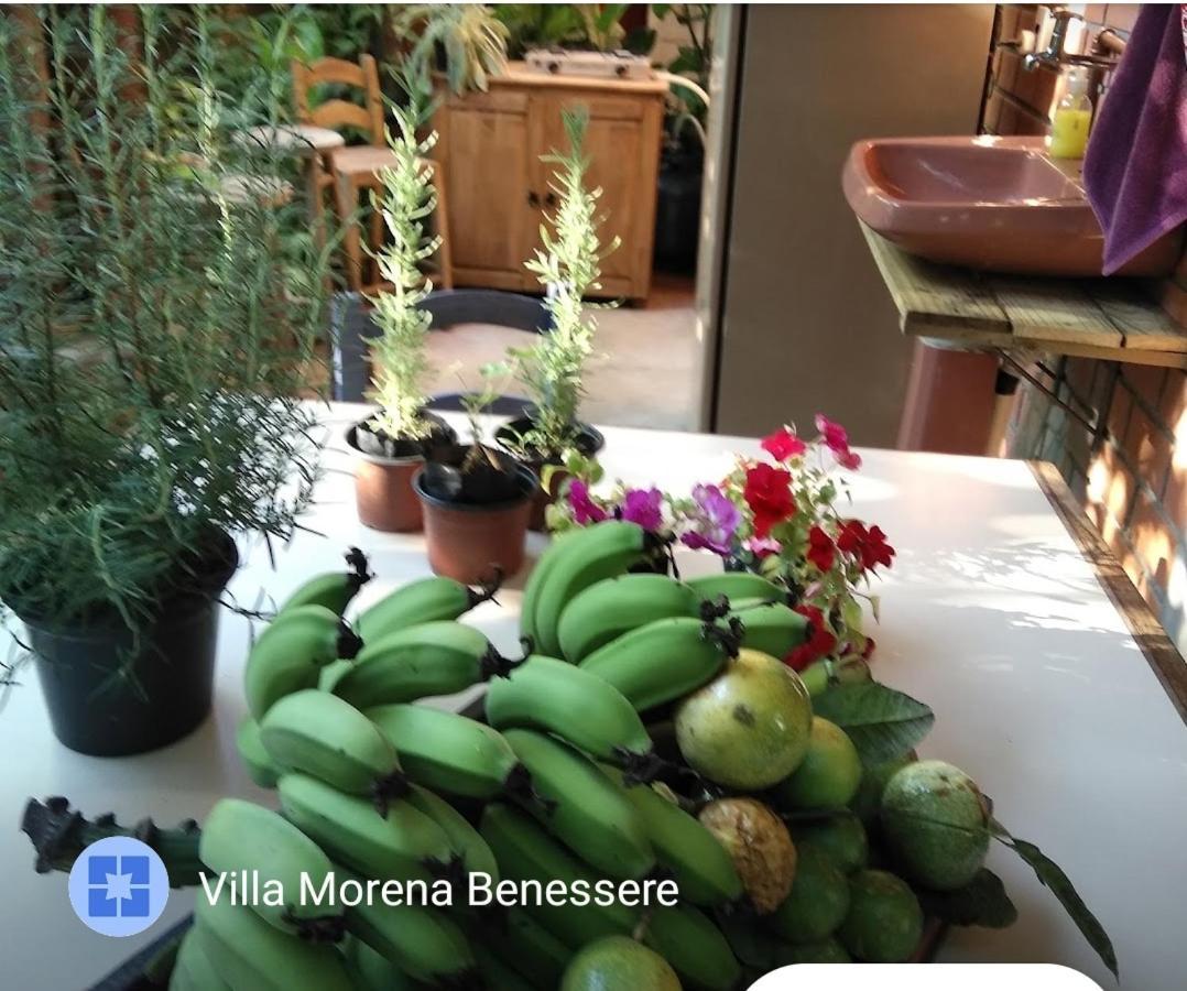 Villa Morena Benessere Florianopolis Bagian luar foto