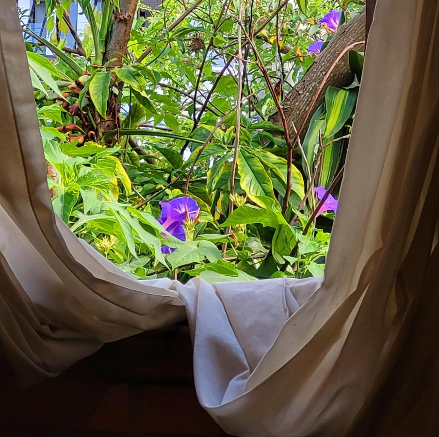 Villa Morena Benessere Florianopolis Bagian luar foto